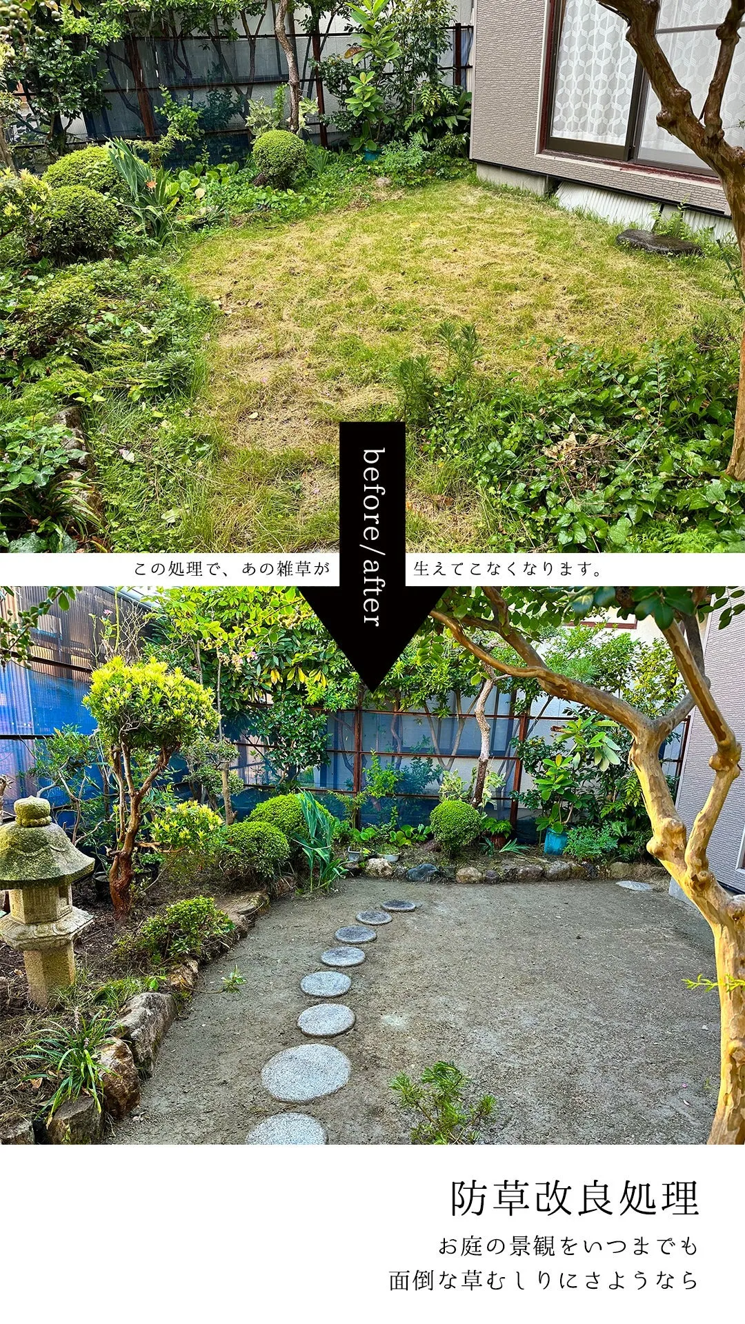 防草改良処理