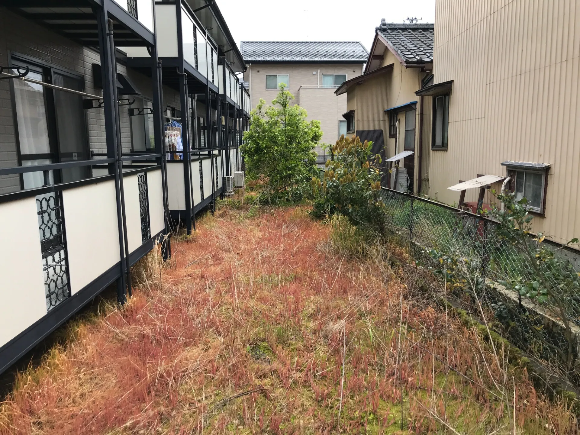 【新潟市でお庭の手入れ困っている方必見!】外構工事は足元から